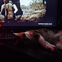 Potato asleep on the desk next to the keyboard while Red Dead Redemption 2 is paused on the monitor